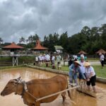 Pansus TRAP Ungkap Solusi Selamatkan Jatiluwih Tanpa Korbankan Budaya
