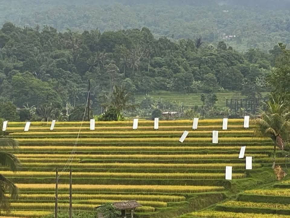 GPS Ingatkan Pemerintah: Subak Bukan Sekadar Slogan