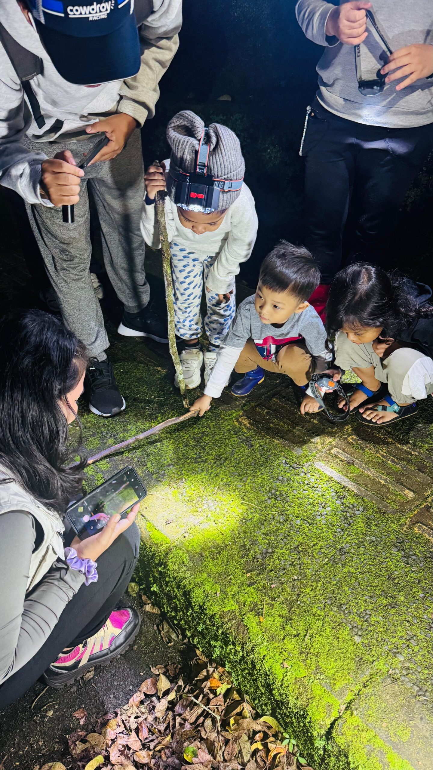 Kebun Raya Bali dan Nusantara Wilderness Ajak Publik Telusuri Keanekaragaman Hayati Malam Hari