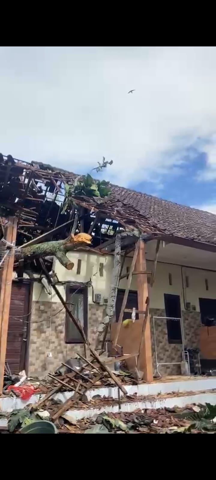 Pohon Tumbang Hancurkan Rumah Kosan, Mobil Dan Motor di Abiansemal