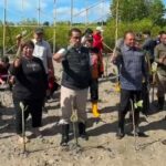 Mangrove Bali Jadi Contoh Nasional, Koster dan Kemendagri Gaungkan Lingkungan Lestari