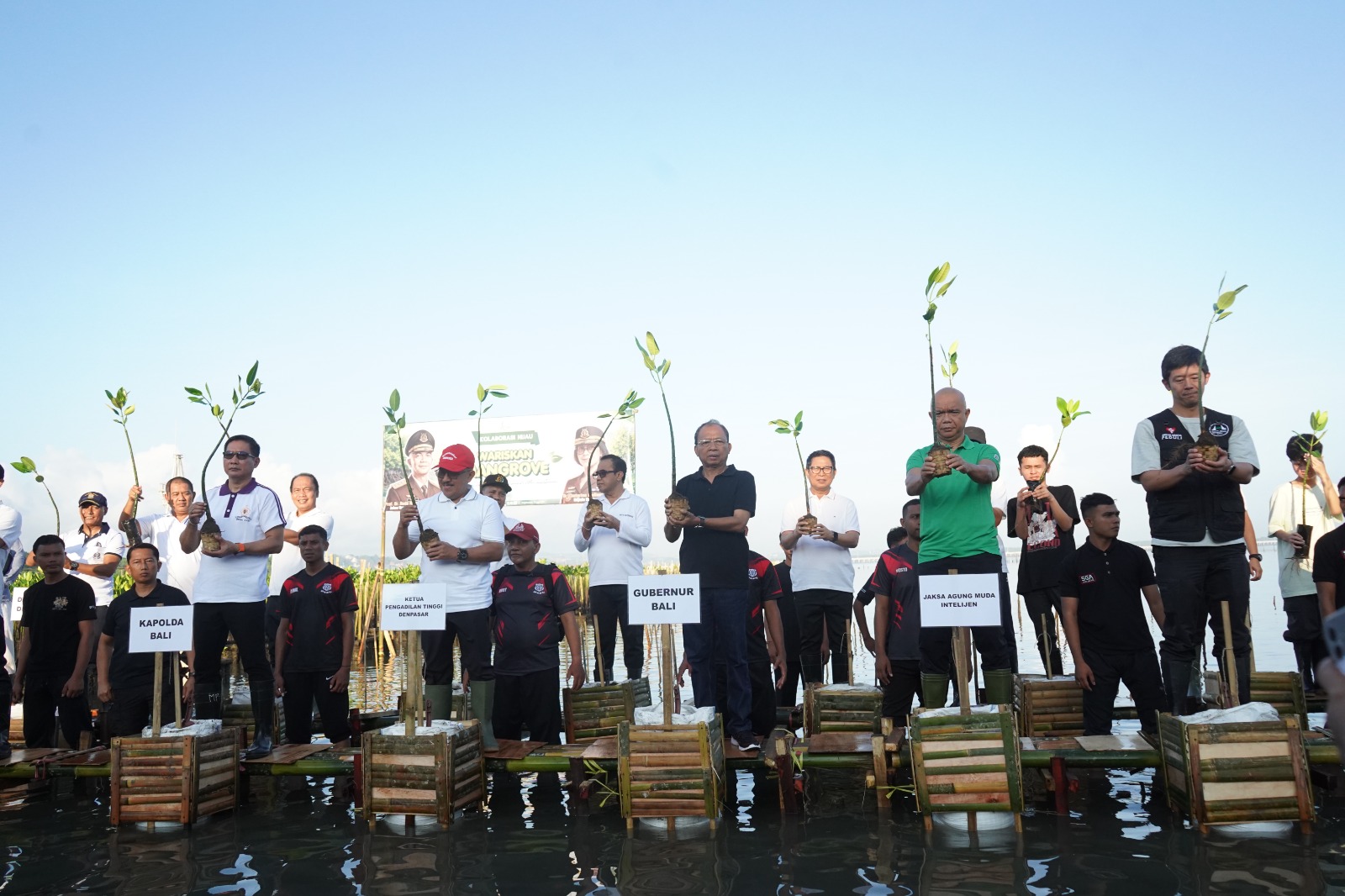 Tanam Mangrove Bersama Jamintel Kejagung dan Kejati Bali, Gubernur Koster Ajak Sinergi Tingkatkan Cakupan Ruang Hijau Bali