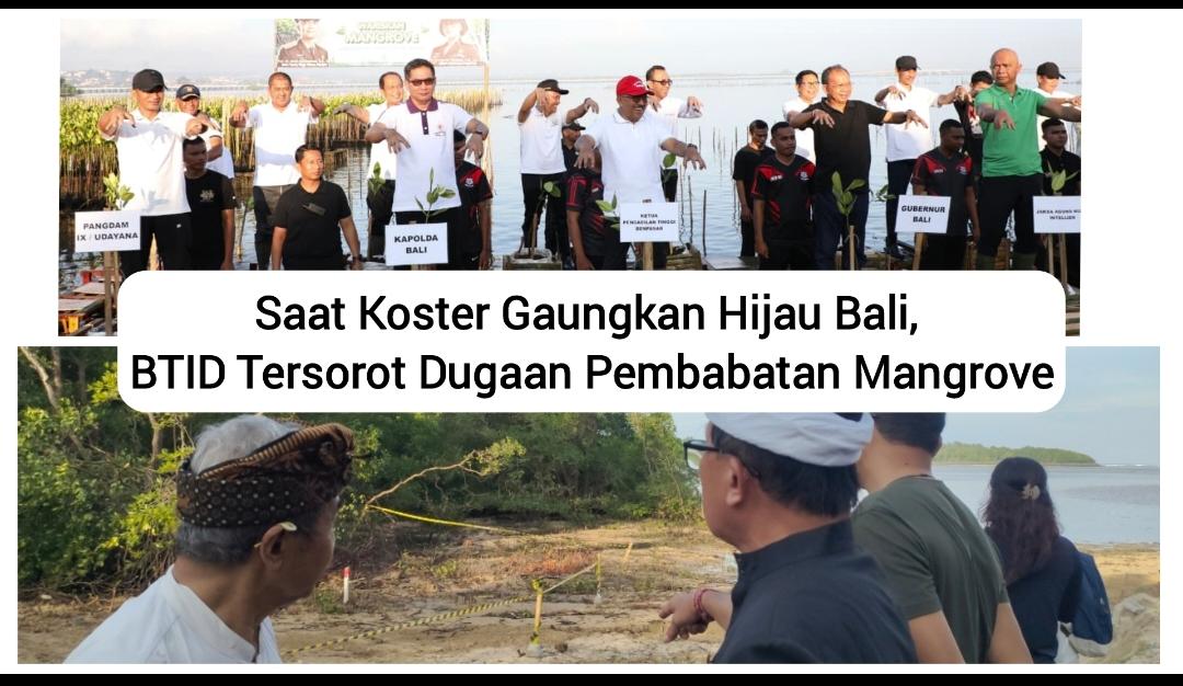 Saat Koster Gaungkan Hijau Bali, BTID Tersorot Dugaan Pembabatan Mangrove
