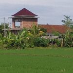 Alih Fungsi Sawah Dilindungi di Subak Jagaraga Disorot, Bangunan Kos Diduga Tanpa Izin Lengkap