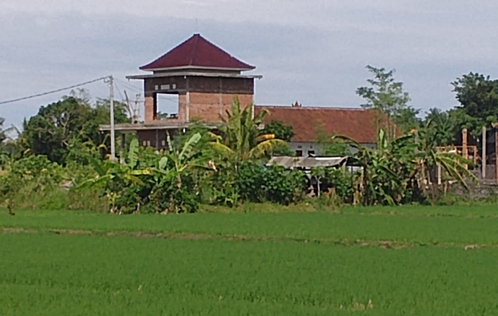 Alih Fungsi Sawah Dilindungi di Subak Jagaraga Disorot, Bangunan Kos Diduga Tanpa Izin Lengkap