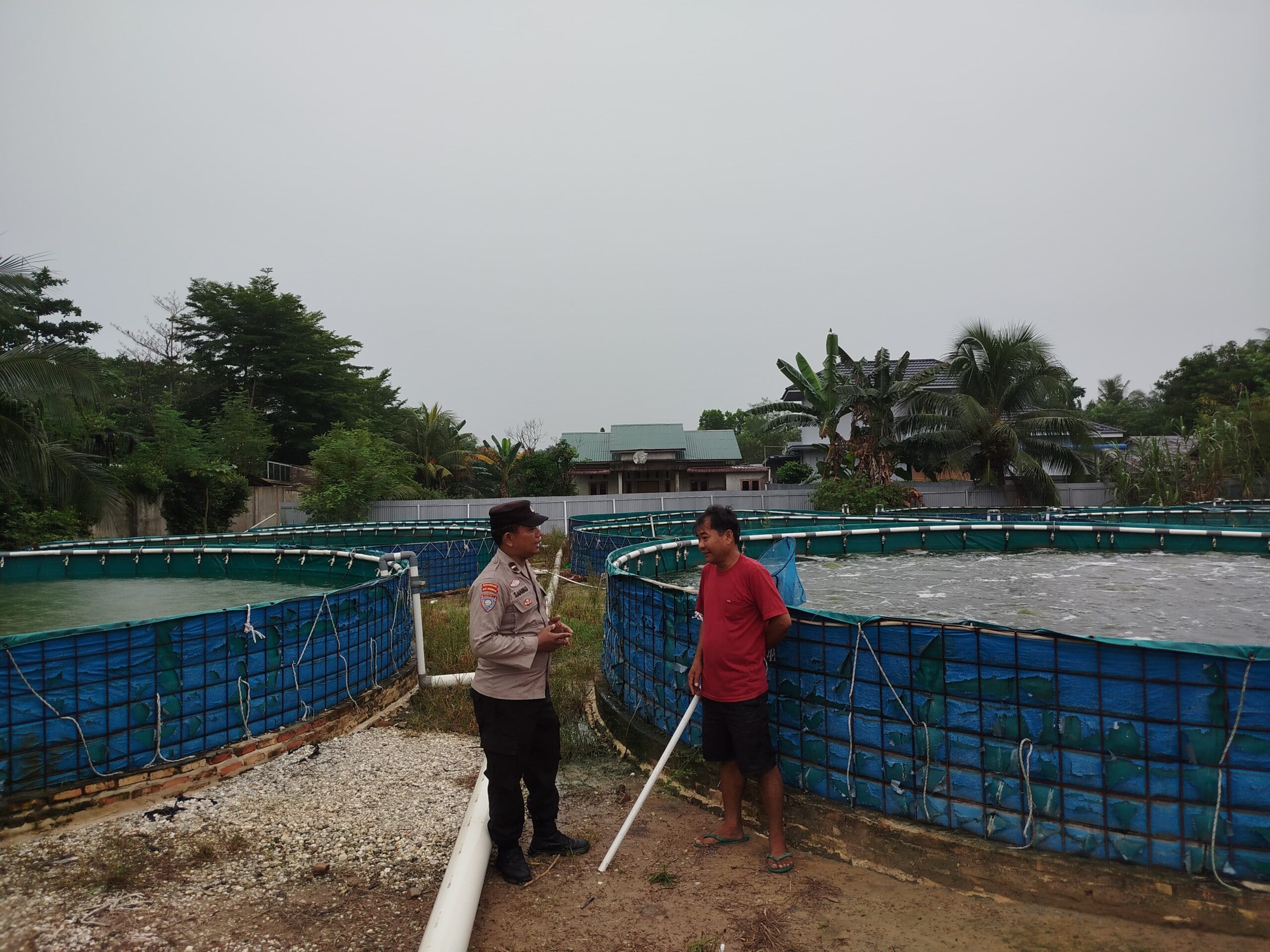 Dukung Ketahanan Pangan, Bhabinkamtibmas Mekar Sari Cek Kolam Bioflok Ikan Nila