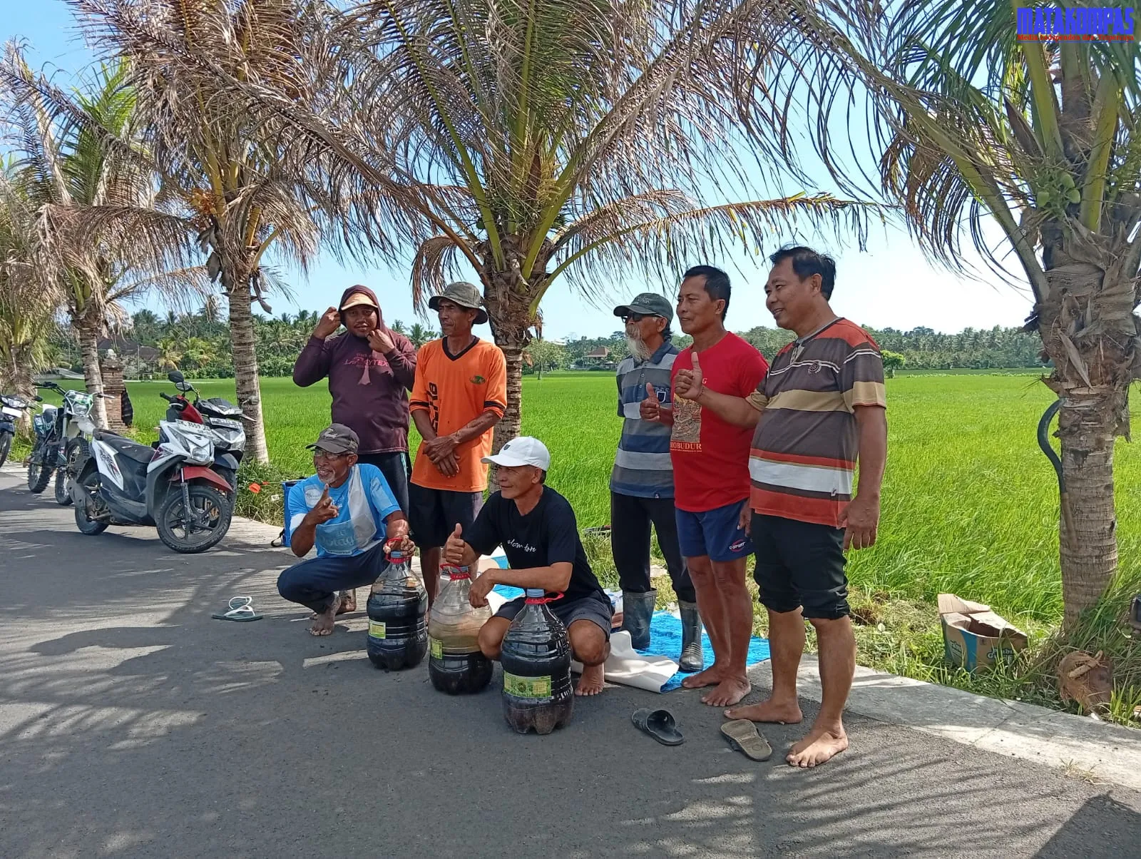 Jembrana Jadi Lokasi Demplot Nasional, Target Tingkatkan Produktivitas Padi Berkelanjutan