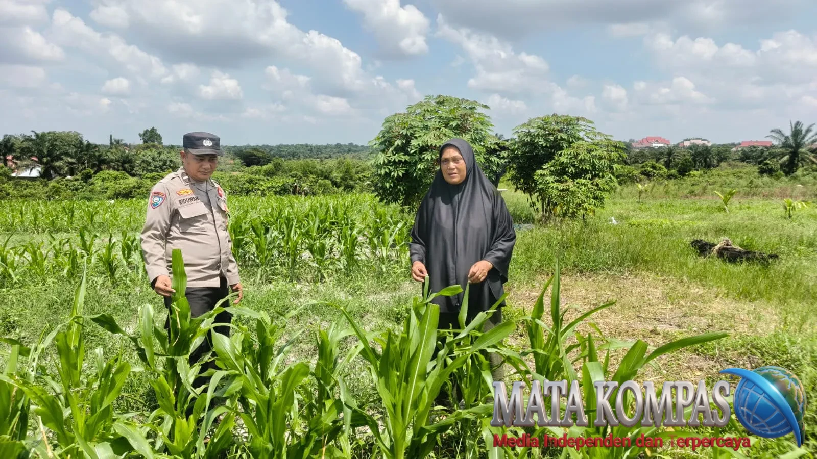 Dukung Ketahanan Pangan Nasional, Bhabinkamtibmas Bagan Besar Bersama Petani Cek Tanaman Jagung