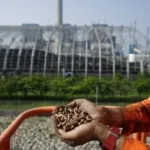 Tak Sekadar Pasok Biomassa, Sinergi PLN dan Kawasan Industri Bolok Bidik Investasi Woodchip Bernilai Ekonomi bagi NTT