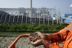 Tak Sekadar Pasok Biomassa, Sinergi PLN dan Kawasan Industri Bolok Bidik Investasi Woodchip Bernilai Ekonomi bagi NTT