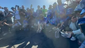 Gerakan Langit Biru Demokrat Menggema di Pantai Lembeng, Bersihkan Pantai dan Lepas 300 Tukik Sambut HUT RI ke-81 dan HUT Perak Partai Demokrat