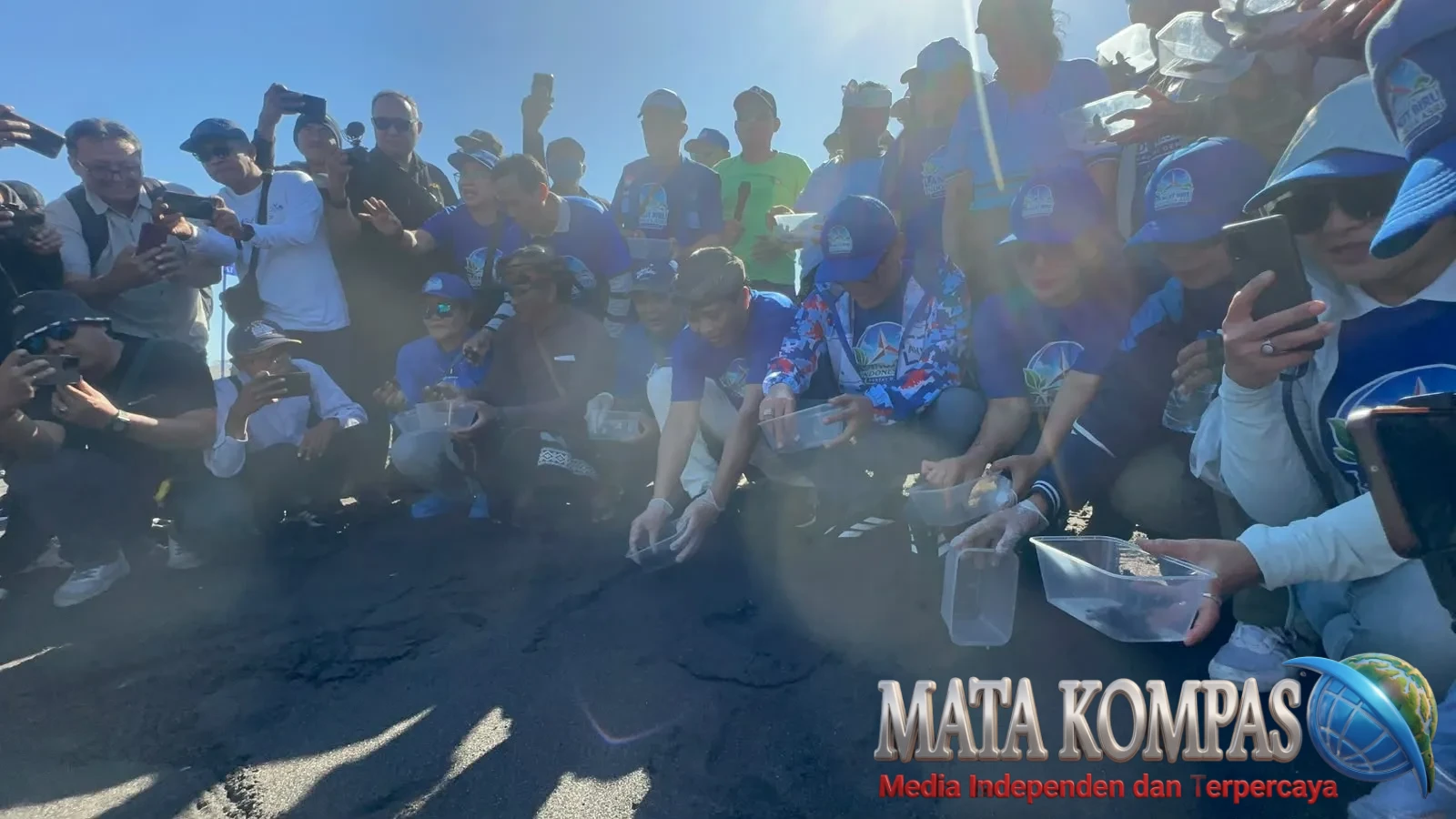 Gerakan Langit Biru Demokrat Menggema di Pantai Lembeng, Bersihkan Pantai dan Lepas 300 Tukik Sambut HUT RI ke-81 dan HUT Perak Partai Demokrat