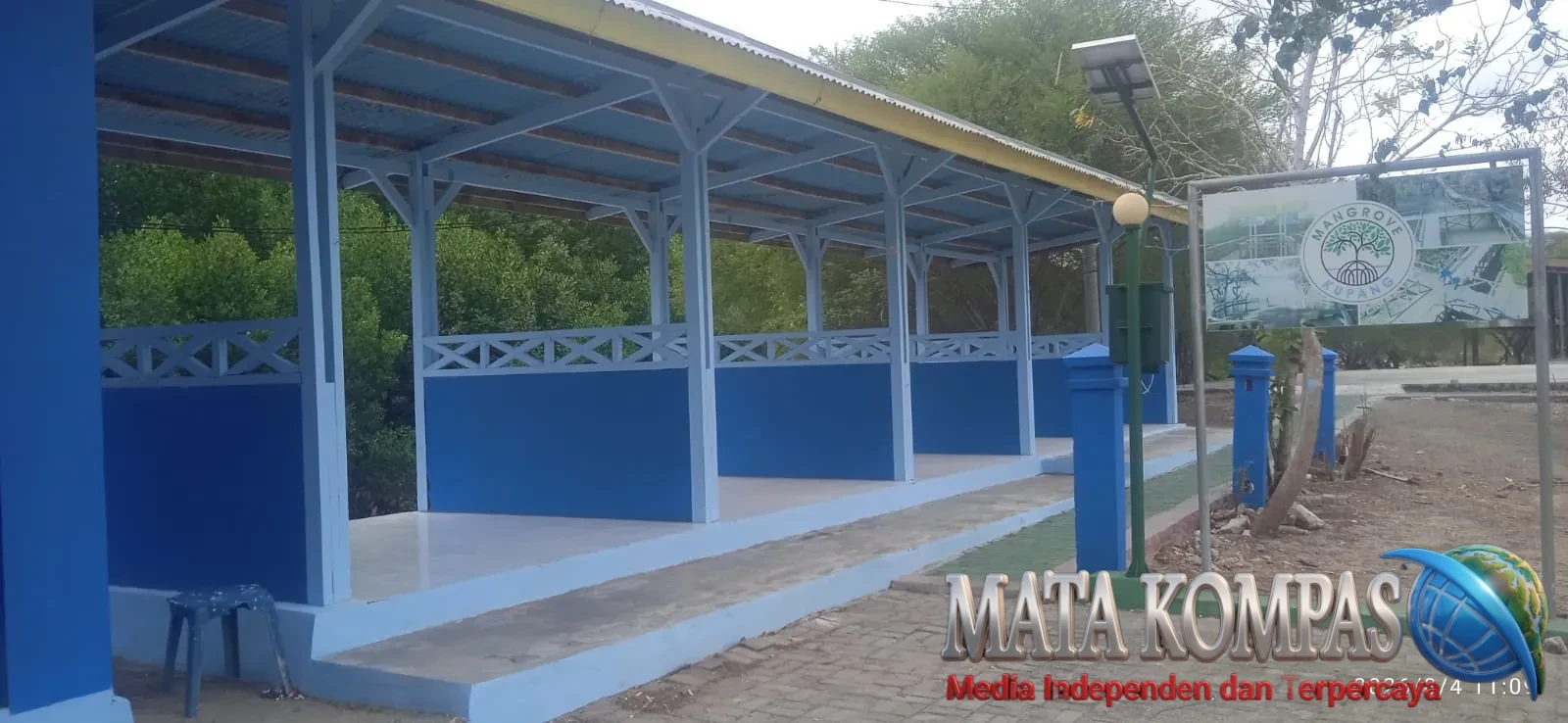 Bukan Sekadar Pulihkan Lingkungan, PLN UPK Timor Revitalisasi 5 Hektare Mangrove untuk Dorong Ekonomi Warga