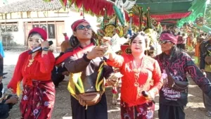 Lebih dari 1.000 Warga Giliraja Antusias Saksikan Kerapan Sapi Betina