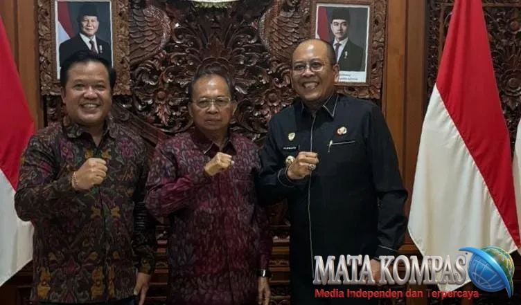 Gubernur Koster Turun Tangan, PLTS 1 MW di Bangli dan Karangasem Segera Dioperasikan PLN