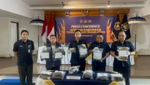 Operasi Gabungan Sasar Umalas-Seminyak-Canggu, 13 WNA Diduga Terlibat Prostitusi Diamankan Imigrasi Ngurah Rai
