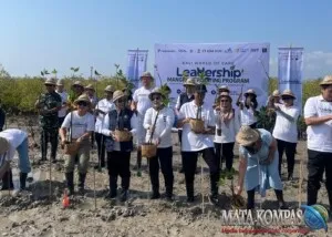 Bukan Hanya Hijau, Bali Kembangkan Blue Carbon untuk Masa Depan
