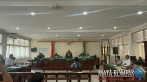 Praperadilan Jilid II Made Daging Memanas! Tiga Ahli Bongkar Syarat Penahanan, Kuasa Hukum Soroti Dugaan Kriminalisasi hingga “Akrobatik Hukum”