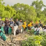 Jelang Hari Tumpek Wayang, Pemprov Bali Libatkan Kampus dan Komunitas Lingkungan Angkut 3,56 Ton Sampah di Mangrove Pesanggaran