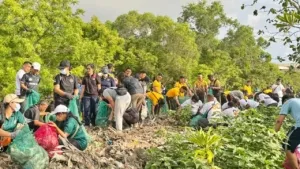Jelang Hari Tumpek Wayang, Pemprov Bali Libatkan Kampus dan Komunitas Lingkungan Angkut 3,56 Ton Sampah di Mangrove Pesanggaran
