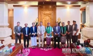 Gubernur Koster Minta Verifikasi saat Timor-Leste Lirik 10.000 Sapi Bali
