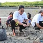 Wagub Giri Prasta Dorong Pulihkan Mangrove Bali Rusak 18 Hektar Bantu Rp20 Juta untuk IWO Bali Rawat Mangrove