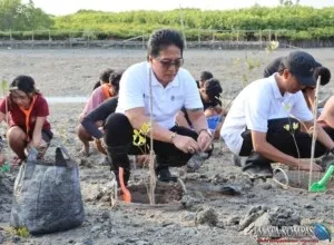 Wagub Giri Prasta Dorong Pulihkan Mangrove Bali Rusak 18 Hektar Bantu Rp20 Juta untuk IWO Bali Rawat Mangrove