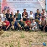Panen Perdana Bawang Putih Lokal di Tabanan Perkuat Kedaulatan Pangan Bali Lawan Dominasi Impor