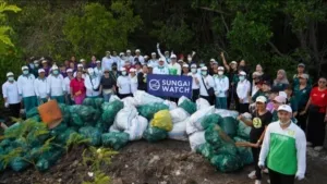 Gerakan Kulkul PKK dan Posyandu Gandeng Sungai Watch dan Relawan Bersihkan Kawasan Hutan Bakau Sidakarya
